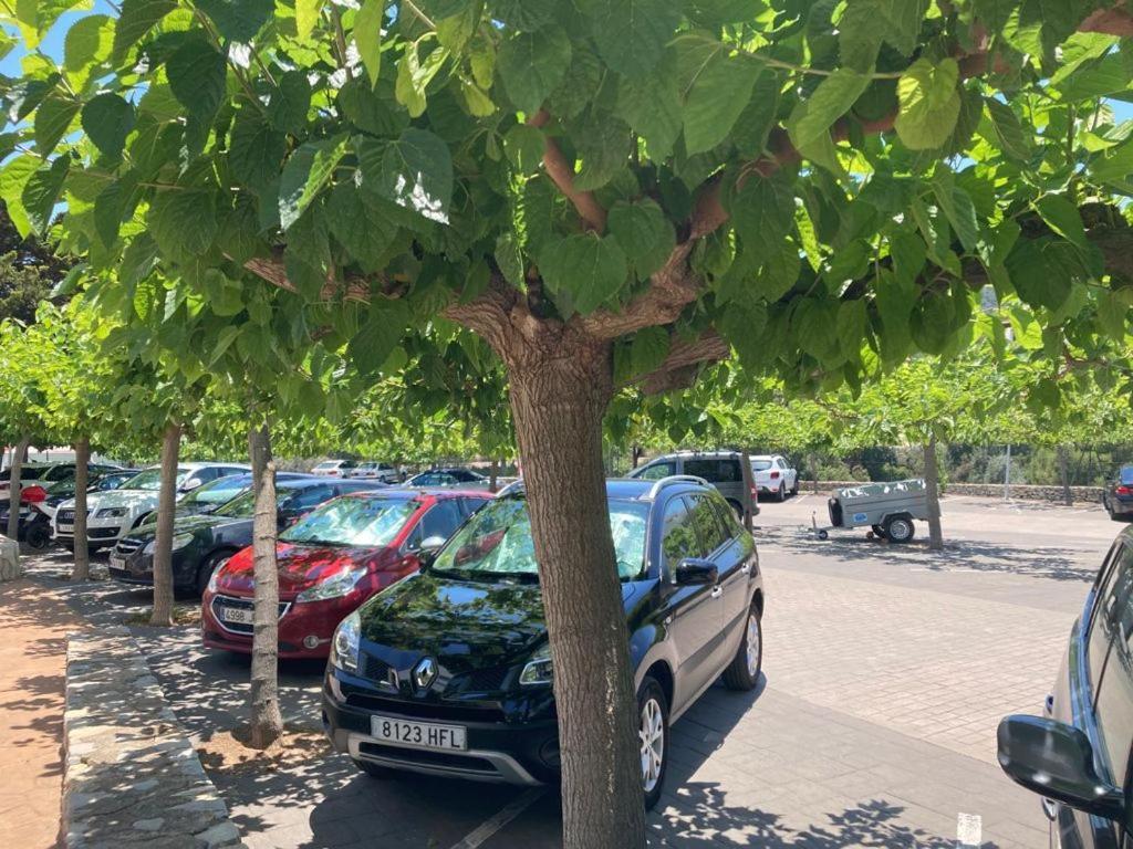 Relax, Piscina, Playa Y Barbacoa! Lägenhet Peñíscola Exteriör bild
